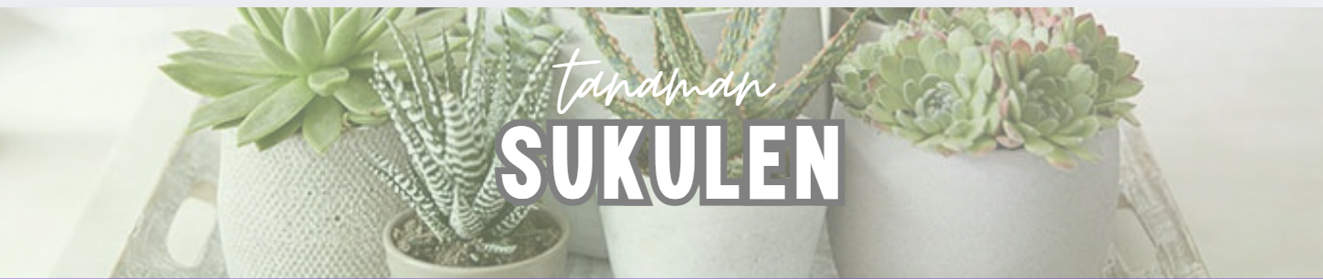 SUKIT (Sukulen Kit)